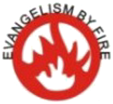 NBP Logistics logo